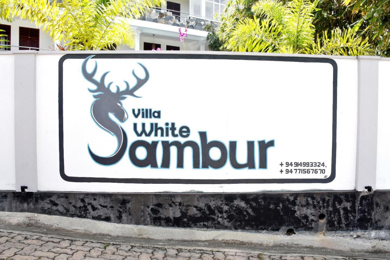 Villa De White Sambur Hikkaduwa Exterior foto